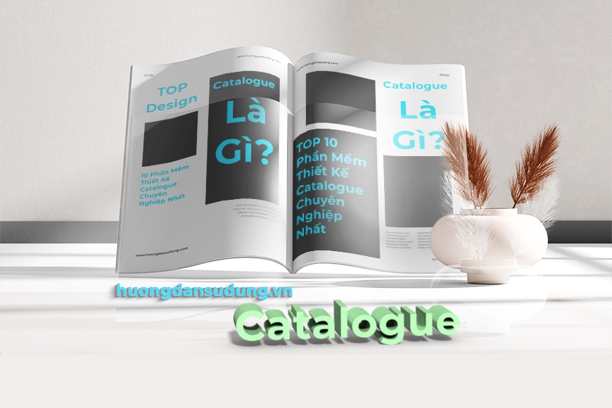 Hướng dẫn thiết kế catalogue chuyên nghiệp bắt mắt